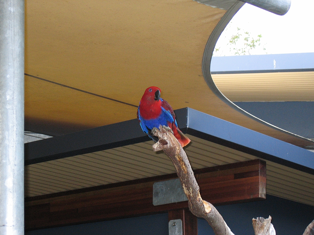 CairnsTC261 Wildlife Habitat.jpg